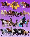 Horse models that can use updated tack