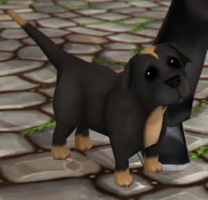 StarStable 2019-12-02 16-16-07 (3).png