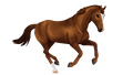 1668445227-breed-belgian-warmblood-canter-chestnut2.png