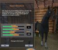 The Danish Warmblood as it appears in Star Stable