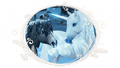 1671551117-snow-window-rm-content-week3-reveal.png