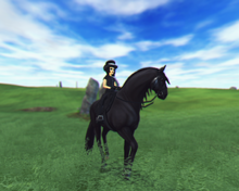 StarStable 2018-09-25 19-06-24.png