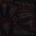 Texture of Dark Brown Mane