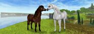 New model Arabian (Left) and Icelandic Horse (Right) advertising Star Rider offer