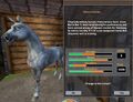 The Hanoverian as it appears in Star Stable