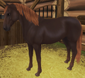 The Flaxen Black Chestnut Coat Before the Visual Update