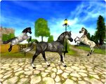 Advertising New Colours of the old model Arabians (Middle and Right) and old model Jorvik Pony (left)