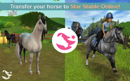 Imagen-star-stable-horses-14gal.jpg.png