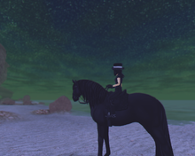 StarStable 2018-09-22 21-46-04.png