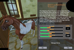 American Paint Horse -Tobiano.png