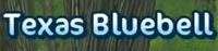 Texasbluebellquest.PNG