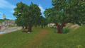 StarStable 2019-09-25 22-13-48.png