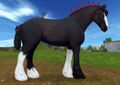 Clydesdale372a-1.jpg