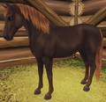 The Flaxen Black Chestnut Coat After the Visual Update