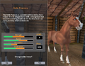 Selle Français as it appears in Star Stable