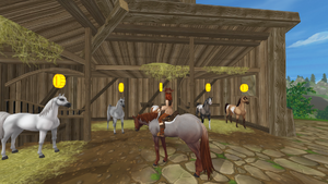StarStable 2020-08-26 17-27-49.png