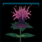 Bee balm.png