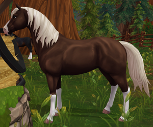Mousebiscuit at Redwood Stables.png