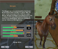 The Morgan as it appears in Star Stable