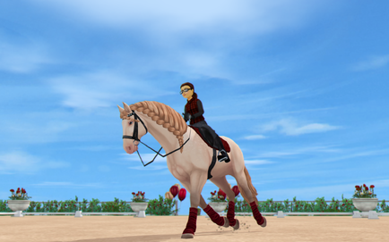 StarStable 2019-09-04 15-52-49.png