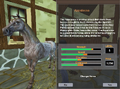 The Appaloosa as it appears in Star Stable