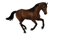 1668445215-breed-belgian-warmblood-canter-bay3.png