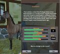 The Lusitano as it appears in Star Stable