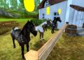 Newest Paint Horses on Star Stable Online.jpg