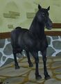 The Friesian as it appears in Star Stable