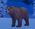 Ursa the bear