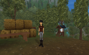 StarStable 2019-11-06 16-09-05 (2).png