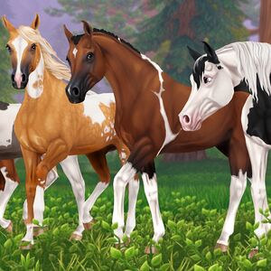 Pintabian - Star Stable Wiki