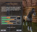 The Thoroughbred as it appears in Star Stable