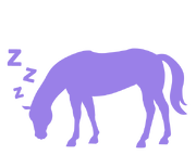 Icon retired small purple.png